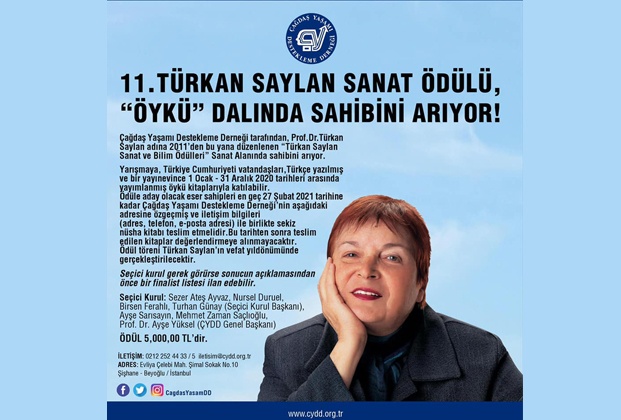 11-turkan-saylan-sanat-odulu-sahibini-ariyor