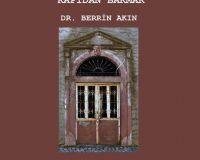 Bir Kentin Mimarisine Kapıdan Bakmak