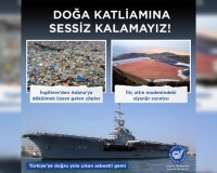 Doğa Katliamına Sessiz Kalamayız!