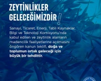 ZEYTİNLİKLER GELECEĞİMİZDİR!