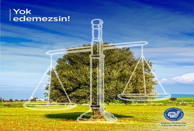zeytinlik-duzenlemesi-davasi-hakkinda