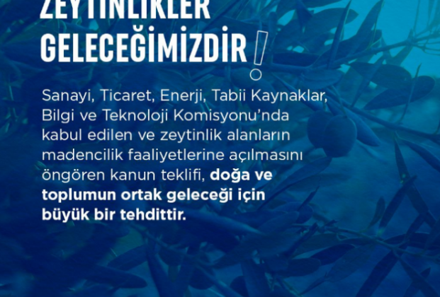 zeytinlikler-gelecegimizdir